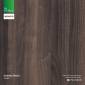 American Walnut